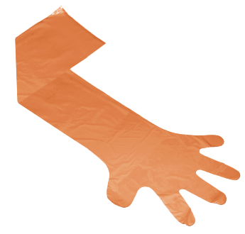 Disposable veterinary PE gloves
